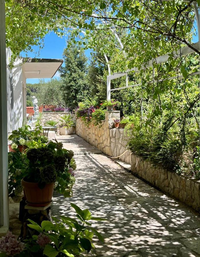 Ferienwohnung Gorana Apartman With Swimming Pool Jelsa  Exterior foto