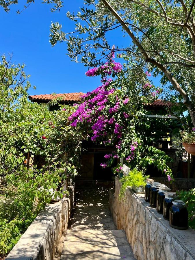 Ferienwohnung Gorana Apartman With Swimming Pool Jelsa  Exterior foto