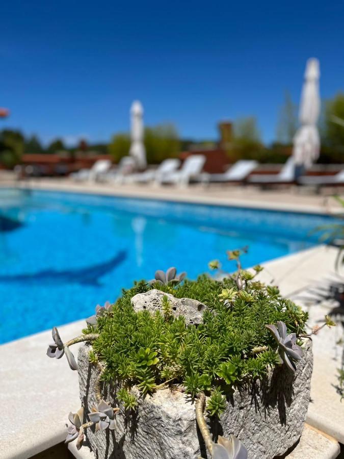Ferienwohnung Gorana Apartman With Swimming Pool Jelsa  Exterior foto